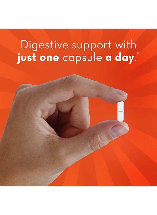 Align بروبيوتيك قوة إضافية، بروبيوتيك للنساء والرجال، العلامة التجارية الموصى بها من قبل الأطباء رقم 1، 5X المزيد من البكتيريا الجيدة لدعم نظام هضمي صحي، 21 كبسولة - Image 3